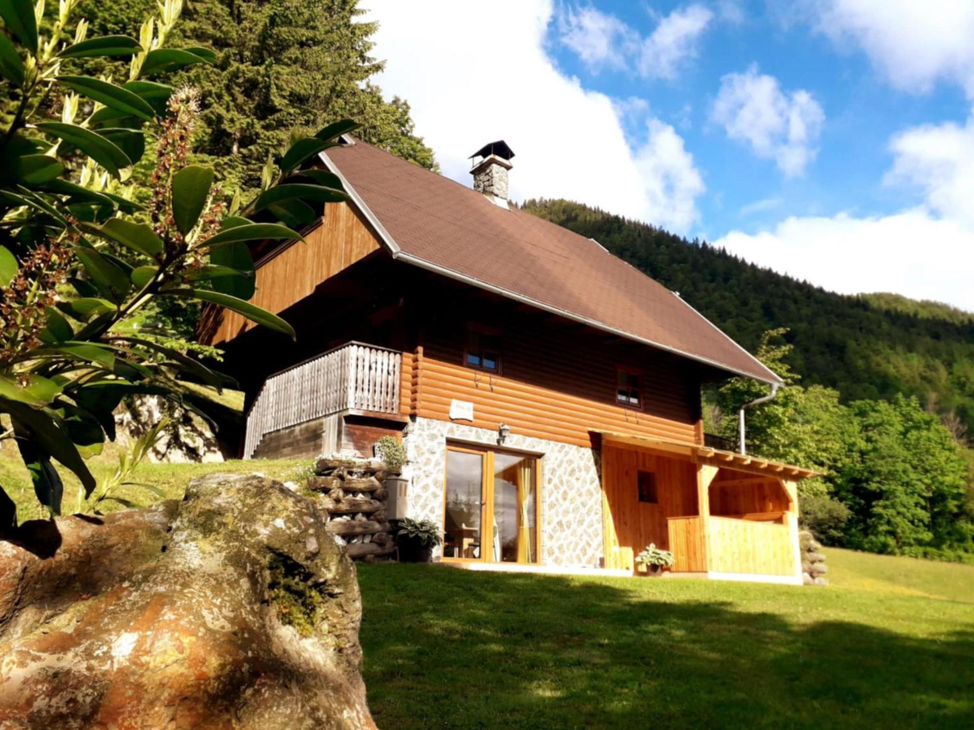 Apartmaji Brloznica Pod Veliko Planino Luče Exterior foto
