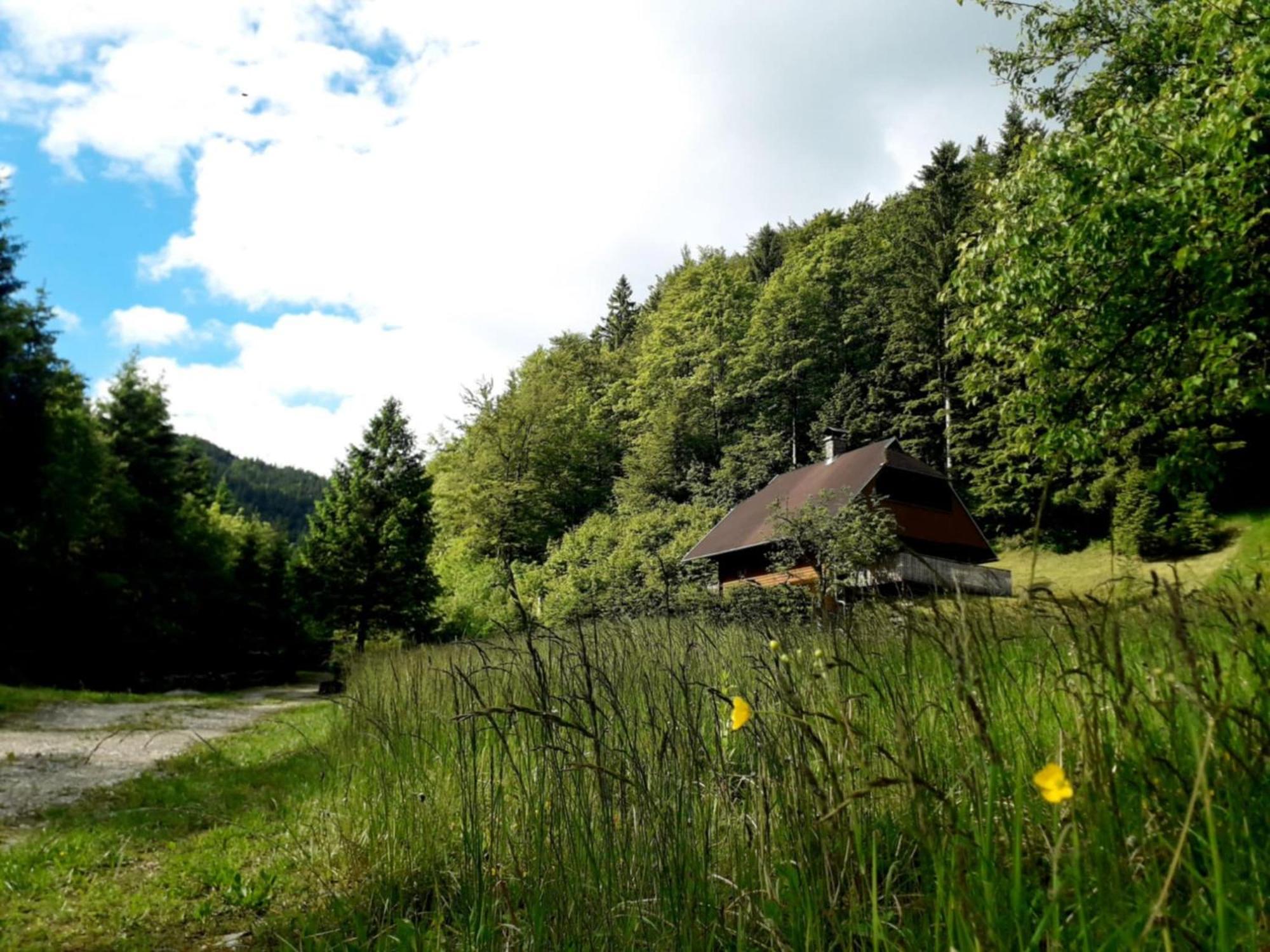 Apartmaji Brloznica Pod Veliko Planino Luče Exterior foto